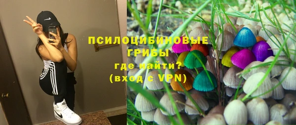 СК Абаза